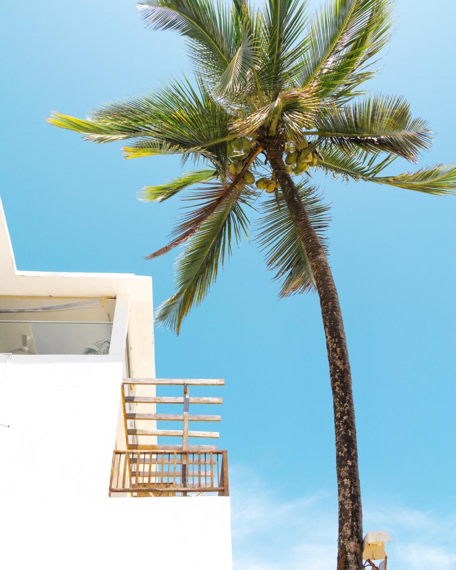 Pili Pili Sunrise Beach Hotel Jambiani  Buitenkant foto